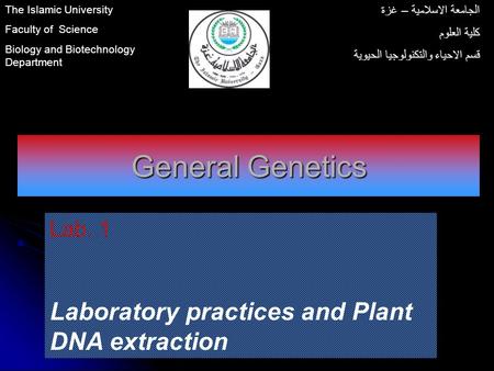 General Genetics Lab. 1 Laboratory practices and Plant DNA extraction The Islamic University Faculty of Science Biology and Biotechnology Department الجامعة.