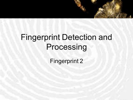 Fingerprint Detection and Processing Fingerprint 2.