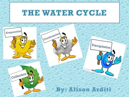 THE WATER CYCLE By: Alison Arditi Precipitation Collection Evaporation