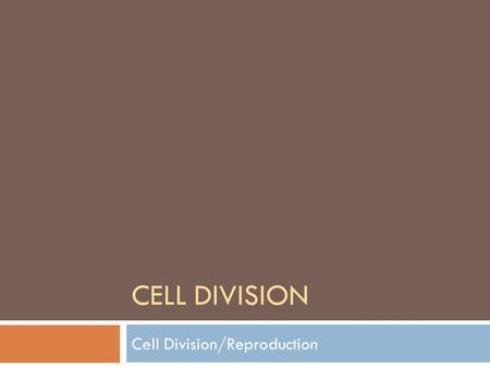 CELL DIVISION Cell Division/Reproduction. Why?  Cells divide for many reasons:  In order to stay small Diffusion occurs at a faster, more efficient.
