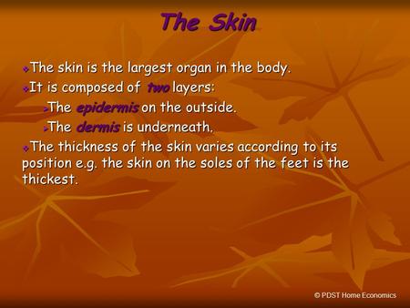 The Skin  The skin is the largest organ in the body.  It is composed of two layers:  The epidermis on the outside.  The dermis is underneath.  The.