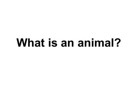 What is an animal?.