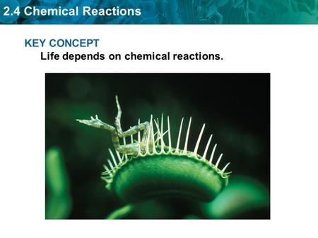 KEY CONCEPT  Life depends on chemical reactions.