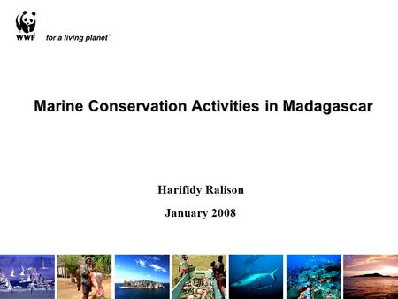 Marine Conservation Activities in Madagascar Harifidy Ralison January 2008.