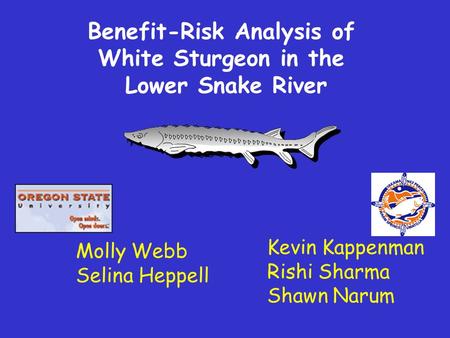 Kevin Kappenman Rishi Sharma Shawn Narum Benefit-Risk Analysis of White Sturgeon in the Lower Snake River Molly Webb Selina Heppell.