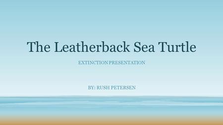 The Leatherback Sea Turtle EXTINCTION PRESENTATION BY: RUSH PETERSEN.