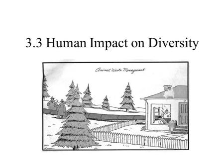 3.3 Human Impact on Diversity