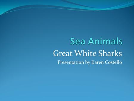 Great White Sharks Presentation by Karen Costello.