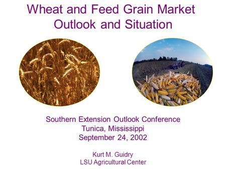 Wheat and Feed Grain Market Outlook and Situation Southern Extension Outlook Conference Tunica, Mississippi September 24, 2002 Kurt M. Guidry LSU Agricultural.