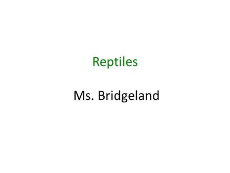 Reptiles Ms. Bridgeland. Introduction to Reptiles.