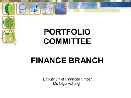 PORTFOLIO COMMITTEE FINANCE BRANCH Deputy Chief Financial Officer Ms Olga Hattingh.