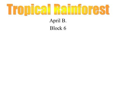 April B. Block 6. My location of biome is in Africa, the tropical rain forest!