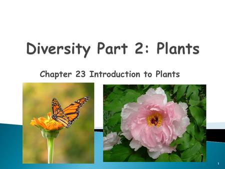 Chapter 23 Introduction to Plants 1. 1. Autotrophs 2. Multicellular 3. Eukaryotes 4. Cell Wall is made out of Cellulose 2.