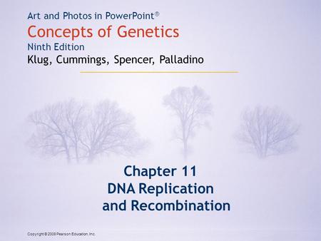 Copyright © 2009 Pearson Education, Inc. Art and Photos in PowerPoint ® Concepts of Genetics Ninth Edition Klug, Cummings, Spencer, Palladino Chapter 11.