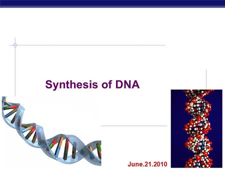 AP Biology 2007-2008 Synthesis of DNA June.21.2010.