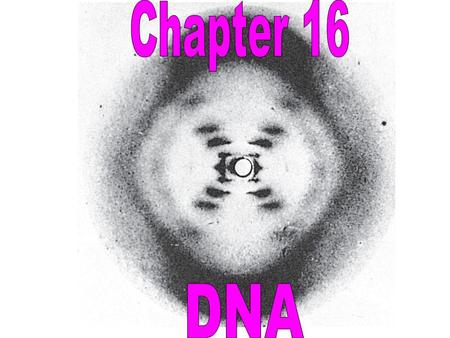 I. DNA is the genetic material A. Time Line 1. 1866- Mendel's Paper 2. 1875- Mitosis worked out 3. 1890's- Meiosis worked out 4. 1902- Sutton connect.