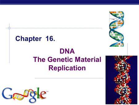 AP Biology 2005-2006 Chapter 16. DNA The Genetic Material Replication.