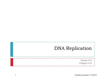 DNA Replication Packet #43 Chapter #16 Tuesday, October 13, 20151.