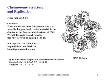 Chromatin Structure and Replication1 Chromosome Structure and Replication From chapters 5 & 6 Chapter 5 While we will not cover DNA structure in class.