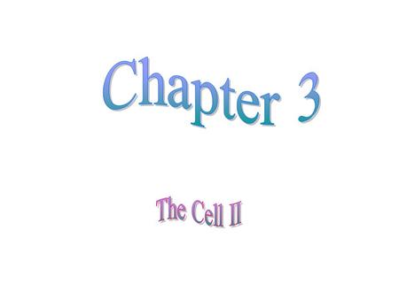 Chapter 3 The Cell II.