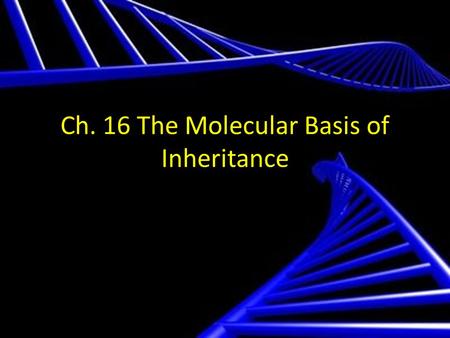 Ch. 16 The Molecular Basis of Inheritance. DNA is the Genetic Material Experiments with bacteria and with phages provided the first strong evidence that.