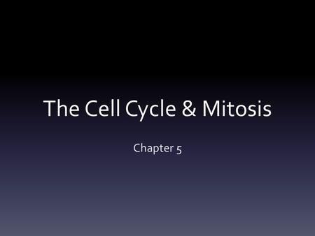The Cell Cycle & Mitosis