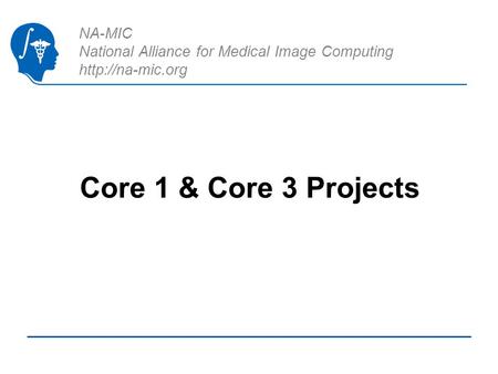 NA-MIC National Alliance for Medical Image Computing  Core 1 & Core 3 Projects.