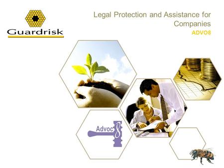 Legal Protection and Assistance for Companies ADVO8.