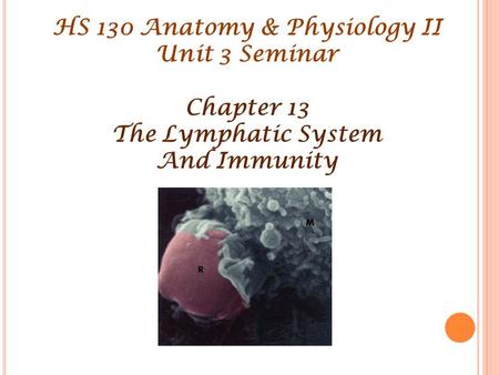 HS 130 Anatomy & Physiology II Unit 3 Seminar Chapter 13 The Lymphatic System And Immunity.