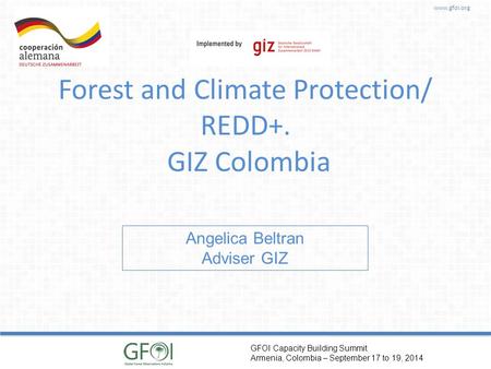 Www.gfoi.org GFOI Capacity Building Summit Armenia, Colombia – September 17 to 19, 2014 Forest and Climate Protection/ REDD+. GIZ Colombia Angelica Beltran.