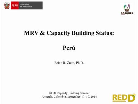 MRV & Capacity Building Status: Perú GFOI Capacity Building Summit Armenia, Colombia, September 17–19, 2014 Brian R. Zutta, Ph.D.