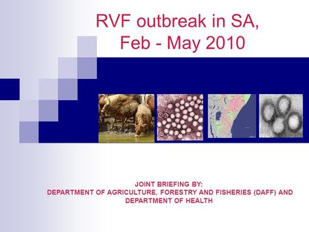 RVF outbreak in SA, Feb - May 2010 JOINT BRIEFING BY: DEPARTMENT OF AGRICULTURE, FORESTRY AND FISHERIES (DAFF) AND DEPARTMENT OF HEALTH.