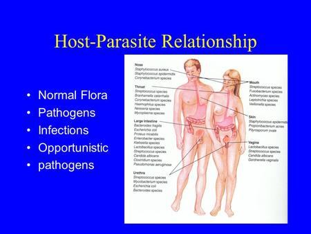 Host-Parasite Relationship Normal Flora Pathogens Infections Opportunistic pathogens.