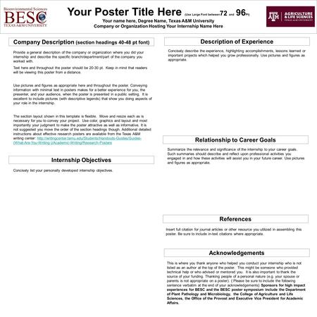Your Poster Title Here (Use Large Font between 72 and 96 Pt) Your name here, Degree Name, Texas A&M University Company or Organization Hosting Your Internship.