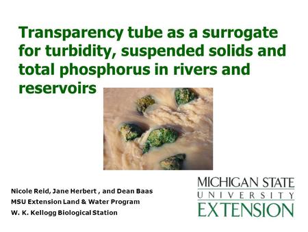 Nicole Reid, Jane Herbert, and Dean Baas MSU Extension Land & Water Program W. K. Kellogg Biological Station Transparency tube as a surrogate for turbidity,