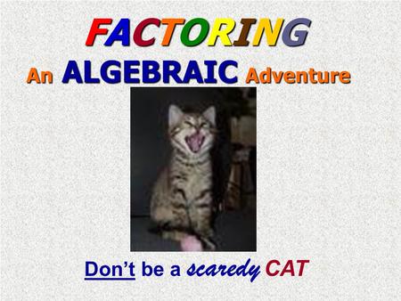 FACTORING An ALGEBRAIC Adventure FACTORING An ALGEBRAIC Adventure Don’t be a scaredy CAT.