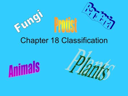 Chapter 18 Classification. What is Classification? Classification is the grouping of objects or information based on similarities. Can you name some things.