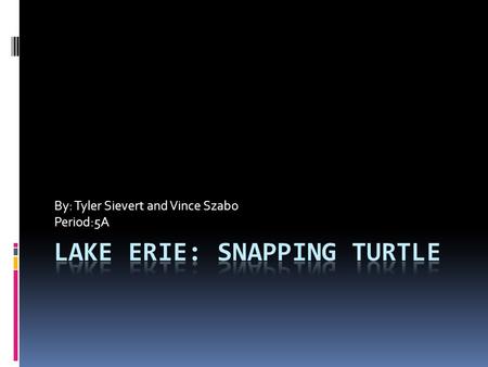 By: Tyler Sievert and Vince Szabo Period:5A. Habitat PictureFacts  The Snapping Turtle is a constantly moving animal  It live near the shore by lakes,