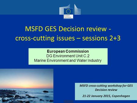 European Commission DG Environment Unit C.2 Marine Environment and Water Industry MSFD GES Decision review - cross-cutting issues – sessions 2+3 MSFD cross-cutting.