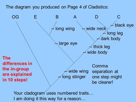 -- wide wing -- long stinger The diagram you produced on Page 4 of Cladistics: -- thick leg -- wide body -- large eye -- long leg -- dark body -- black.