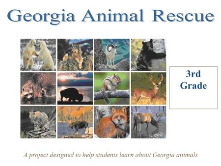 3rd Grade A project designed to help students learn about Georgia animals.