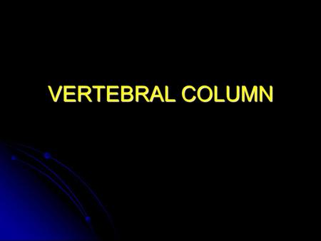 VERTEBRAL COLUMN. Gross Anatomy 28 inches in length 28 inches in length Medial border of scapula: Medial border of scapula: Runs parallel to vertebral.