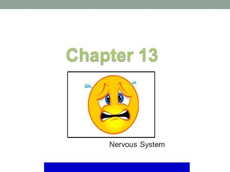 Nervous System. Mosby items and derived items © 2008 by Mosby, Inc., an affiliate of Elsevier Inc. The nervous system is the communication and control.