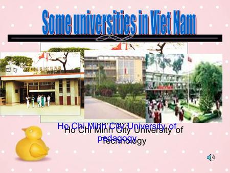 University of Medicine and Pharmacy Ho Chi Minh City University of Technology Ho Chi Minh City University of pedagogy.