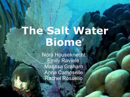 The Salt Water Biome Nora Houseknecht Emily Raviele Marissa Graham