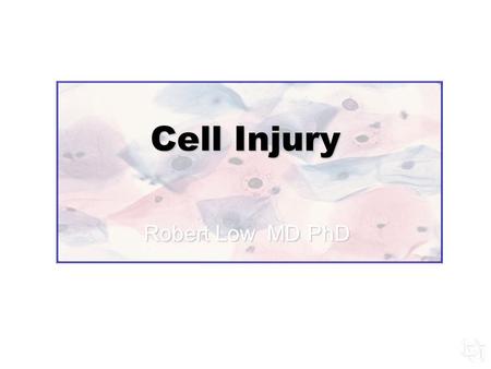Cell Injury Robert Low MD PhD. sites within cells that are easily injured reversibility of injury and complete recover adaptation to chronic injury cell.