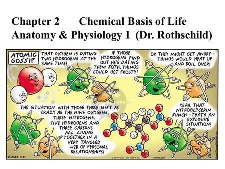 Chapter 2Chemical Basis of Life Anatomy & Physiology I (Dr. Rothschild)