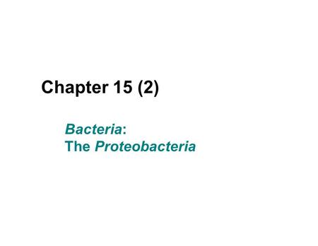 Bacteria: The Proteobacteria