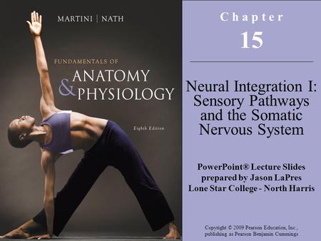 C h a p t e r 15 Neural Integration I: Sensory Pathways and the Somatic Nervous System PowerPoint® Lecture Slides prepared by Jason LaPres Lone Star College.