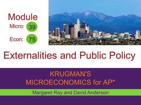KRUGMAN'S MICROECONOMICS for AP* Externalities and Public Policy Margaret Ray and David Anderson Micro: Econ: 39 75 Module.
